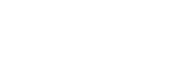 DFL Logo